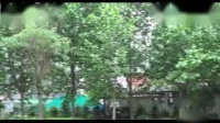 丝弦引mp3微盘下载《空印盒》