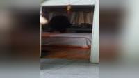南昌玲玲广场舞《DJ不要用我的爱来伤害我》适合在家里跳的减肥舞下载