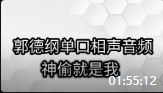 《神偷就是我》郭德纲单口相声在线听书mp3