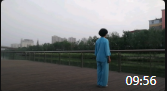 混元24式太极拳分解教学视频韩义功慢动作mp