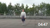 杨式太极拳26式精讲教学视频分解教学视频mp