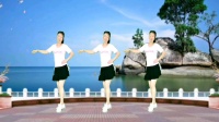 辣妈广场舞分解动作《前世今生的缘》mp4免费下载下载