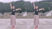 辣妈广场舞动作分解《别知己》mp4免费下载下载