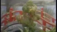 歌仔戏mp3免费下载《多情鸳鸯》