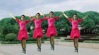 美久广场舞最新视频2019《百花香》网红流行爆款新歌新舞 甜美好听 舞步新颖下载