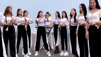 唢呐独奏曲大全100首下载《你莫走》众美女