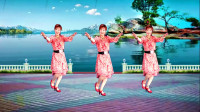 2020吕芳广场舞《天边花正想》网红舞及分解动作视频mp4免费下载下载