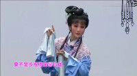 越剧下载免费mp3名段《西厢记琴心》 袁派花