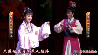高清越剧下载网《红楼梦》唱段 表演 钱惠丽 单仰萍 颜巧娜 陈群瑶等下载