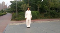 陈氏太极拳老架一路郑冬霞74式分解动作教学
