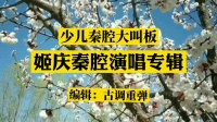 少儿秦腔大叫板《姬庆秦腔演唱专辑》mp3免