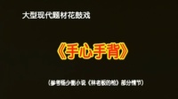 花鼓戏全集mp4下载免费《手心手背》完整版