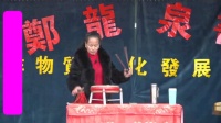 河南坠子下载免费mp4《王三姐拜寿》演唱 袁瑞英