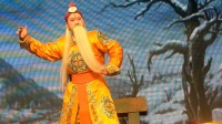 上党梆子全本带字幕《碧血忠魂》下集高清视