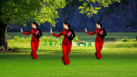 广场舞视频大全免费下载《情难渡》戏曲风格