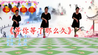广场舞视频大全免费下载《等你等了那么久》
