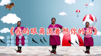 广场舞视频大全免费下载《我的眼角流着想你