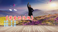 广场舞视频大全免费下载《等爱的玫瑰》基本