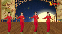 广场舞教程视频大全下载《为什么变了心》DJ