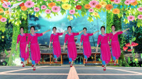 广场舞视频免费下载网站《红枣树》DJ广场舞