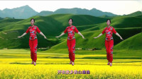 广场舞教学视频基础步慢动作《荞麦花》优美
