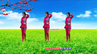 简单易学的广场舞瘦腰减肥操《天边花正香》