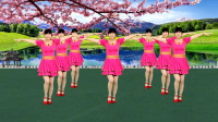 广场舞教学视频基础步慢动作《花开情脉脉》