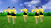 全身减肥广场舞视频mp4免费下载《美丽的遇