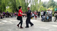 全身减肥广场舞视频《宁夏》初级广场舞32步