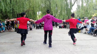 简单易学的广场舞瘦腰减肥操《月亮惹的祸》