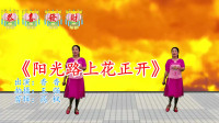 最新广场舞视频大全免费下载《阳光路上花正