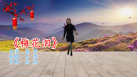 广场舞教程视频大全下载《梅花泪》0 基础学