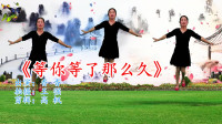 广场舞视频大全免费下载《酒醉的雨滴》初学