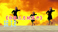 最新广场舞视频大全免费下载《你像三月桃花