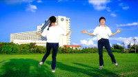 广场舞视频大全新舞《谁家的姑娘》初学广场