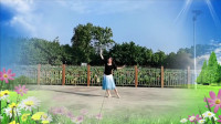 云裳广场舞大全视频大全集《天涯灯火》花语