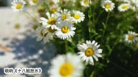 唢呐入门基础教程《十八姐担水》视频mp4免