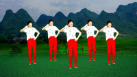 初学最简单的广场舞《花蝴蝶飞》正反完整版演示教学视频mp4免费下载下载