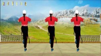 中老年人健身操视频大全初学者《花海情缘》