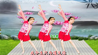 广场舞教学视频《只为遇见你》初学广场舞一