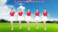 广场舞教学视频基础步《自由飞翔》凤凰传奇
