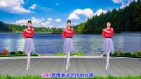 广场舞视频大全免费下载mp4《回头看看我》