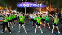 广场舞教学视频免费下载mp4《寂寞情歌》DJ