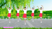 广场舞视频大全免费下载mp4《出卖我》初学