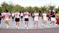广场舞视频大全免费下载《痛痛快快的哭》歌