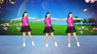 玫香广场舞《风中的花蝴蝶》DJ版32步附教学