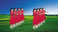 广场舞视频大全免费下载《有一种思念叫永远
