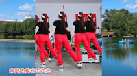 2020年最火的广场舞《野花香》背面分解视频