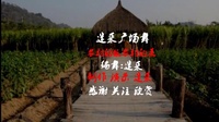 2020广场舞视频大全《农村的饭农村的菜》简
