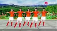 广场舞教程视频大全 《青青河边草》下载广